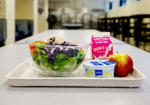 미국 주(州)들이 MAHA 식품 정책 채택 확산