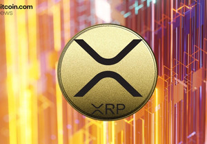 XRP 14% 하락에도 장기 보유자 17% 매수 증가