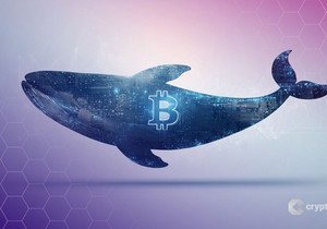 비트코인 고래들의 커버드콜 매도로 현물 가격 하락 압력