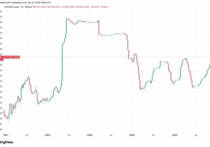 비트파이넥스 비트코인 강세 포지션 2024년 초 이후 최고 수준