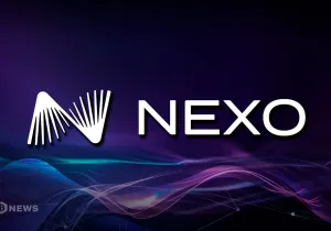 넥소 거래 활동 2023년 이후 4배 급증