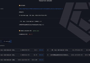 마운트 곡스, 10,306 BTC 새 지갑으로 이동