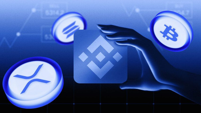 caded704bb714cafa222c3ca8318e5b8