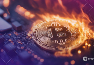 블록스트림 CEO 아담 백, 니크 카터 비트코인 양자 위협 주장 비판