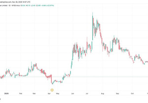 비트코인 트레저리 기업 DDC, 가격 조정 국면서 100BTC 추가 매수