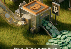 비트코인 네이티브 USDT 프라이빗 결제 기술 등장
