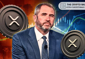 리플 CEO "XRP 맥시 아냐 비트코인 성공 원해"