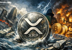 데이비드 슈워츠 XRPL 설계 리플 통제 불가 강조