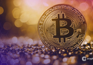 Bitwise 비트코인 엔비디아보다 변동성 낮아 401k 우려 터무니없다