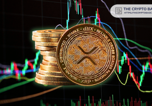 XRP 가격 비트코인 추종 주장에 전문가 반박