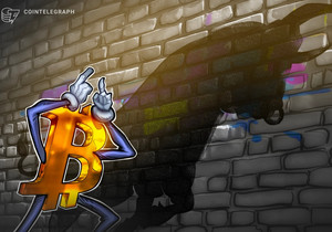 비트코인 라이블리니스 온체인 지표 강세장 속 연중 최고치 경신