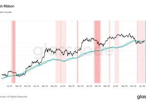 비트코인 해시레이트 10월 고점 대비 15% 하락 마이너 항복 60일 지속