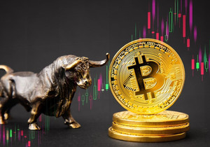 아담 백 비트코인 금 시총 동등 시 150만 달러 전망