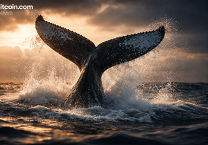 2012년 비트코인 고래 2100 BTC 1억4600만 달러 이동