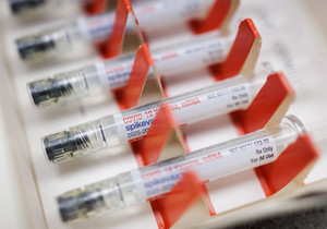 개장 전 급등락 주식 현황 신옵시스 모더나 코인베이스 중심