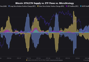 비트코인 공급, 장기 보유자에게 이동 중