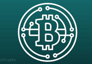 트럼프 퇴임 시 비트코인 이더 XRP 솔라나 카르다노 실존 위기 직면 전망