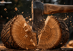 폴 스토르크 8월 비트코인 하드포크 eCash 발표 1:1 코인 스플릿