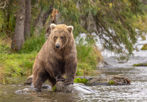 비트코인 45% 폭락 더 큰 유동성 문제 신호
