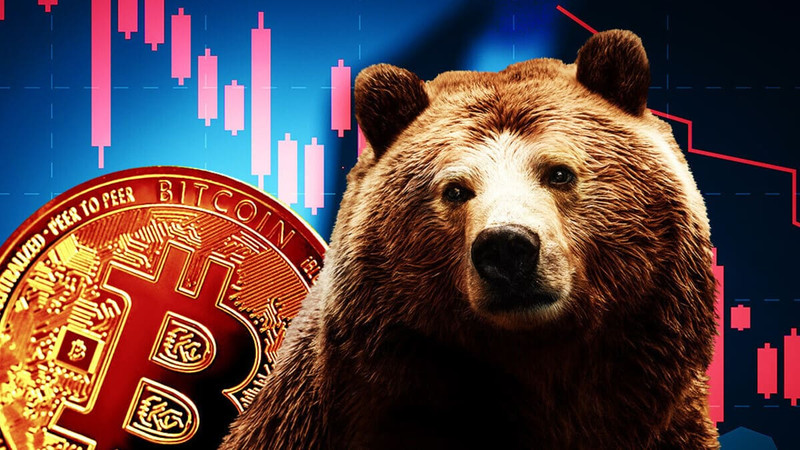 bear-market-1.jpg