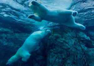 일본 채권 시장 급락 여파 비트코인 91,000달러대 후퇴