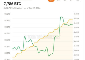 엘살바도르, 8월 이후 29 BTC 매수