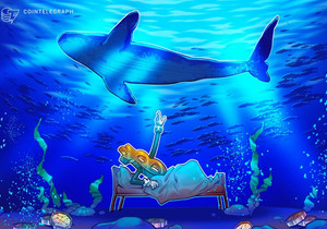 비트파이넥스 고래, BTC 롱 대거 축소…비트코인에 역설적 강세 신호