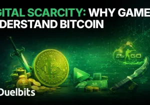 디지털 희소성, 게이머가 비트코인을 이해하는 이유