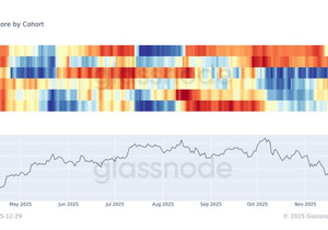 8만 달러 구간 비트코인 주요 매수자 대형 보유자