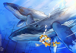 비트코인 고래 축적 과장됐지만 장기 보유자 매수 시작