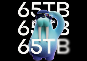 Allium, 비트코인·이더리움·수이 등 65TB 데이터 Walrus로 이전