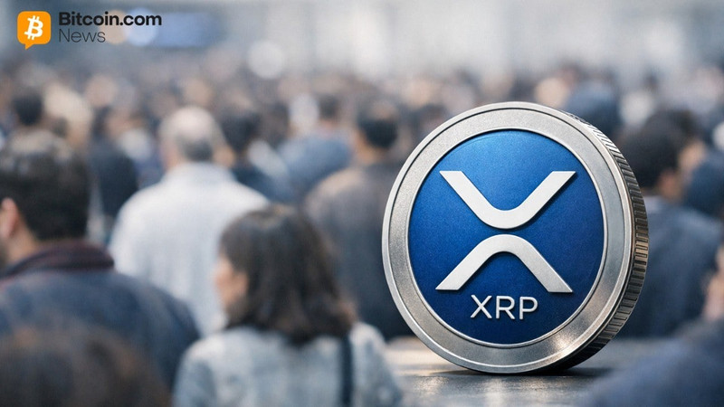 xrp-price-disconnect-adoption-growth-evernorth.jpg