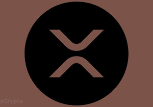 XRP 고래들 온체인 손실에도 2026년 대량 축적 지속