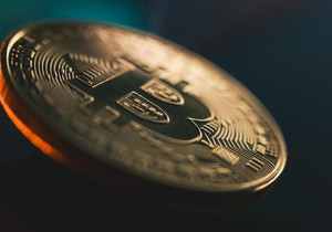 비트코인 위기 속에서도 틈새 수집 자산으로 생존할 것 창업자 전망