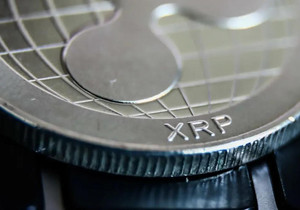 리플 연동 XRP ETF, 30거래일 연속 자금 유입 행진…약세장 속 역주행 자금몰이 현상