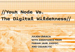 핵심 문제: 개인 노드 vs 디지털 야생지대