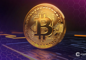 테더, 8억7600만 달러 규모 매수로 세계 5위 비트코인 보유자 등극