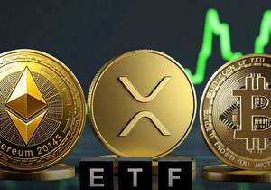 XRP ETF 시장 혼란 속 29일 연속 자금 유입 기록