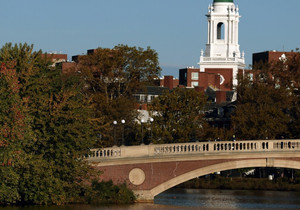 하버드대 비트코인 대규모 투자 직후 가격 폭락