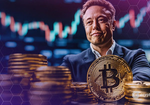 일론 머스크 미국 경제 호황 전망에 따른 비트코인 반등 기대감 확산