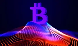 투자자 댄 타페로 비트코인 중간 사이클 강세장 선언 및 금 은 비트코인 가격 전망 공개