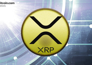 XRP 기술 지지선 유지 속 리플 글로벌 규제 확대 강세 서사 강화