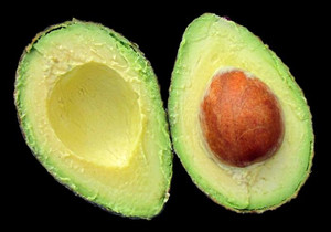 매트릭스포트 "비트코인 반감기 전 6만3000달러 랠리 가능성" 전망