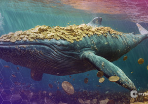 스카이브릿지 불안정 시장 대비 비트코인 신뢰 유지