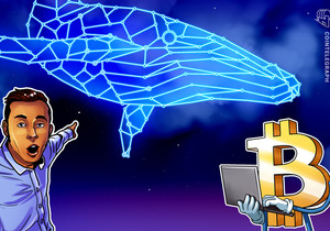 비트코인 고래 7만1천달러서 재매집 시작 산티먼트 분석