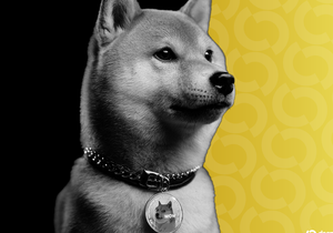 비트코인 상승에 도지코인 급등, 밈코인 시장 활기 되찾아