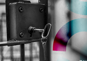 사이판 여성 비트코인 사기 76만9천달러 피해로 징역 71개월 선고