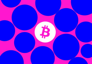 비트파이넥스 해커 일리야 리히텐슈타인 트럼프에 조기 석방 감사 표명