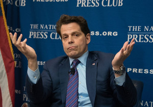 스카라무치 비트코인 안정 인정 속 포트폴리오 알트코인 쌓기