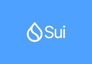 Sui 네트워크, 현재 활동 중단 상태